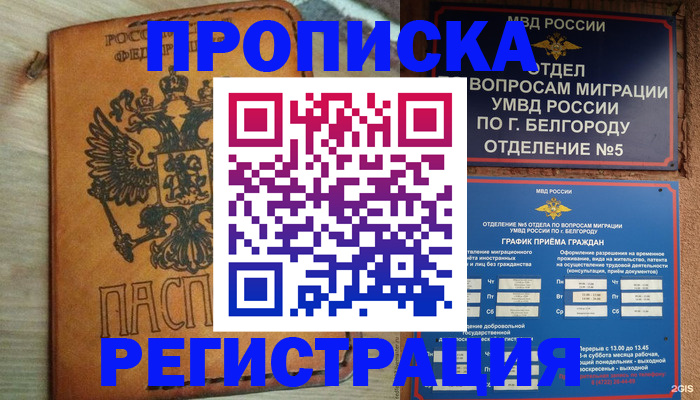 прописка для работы в Камчатской области